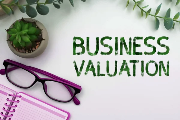Text Sign Showing Business Valuation Business Showcase Determining Economic Value — Foto Stock