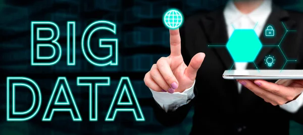 Sign Displaying Big Data Internet Concept Sets Complex Traditional Software — Stock Photo, Image
