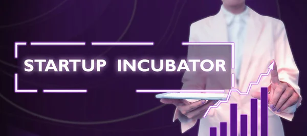 Text Sign Showing Startup Incubator Internet Concept Concept Concept Can — стоковое фото