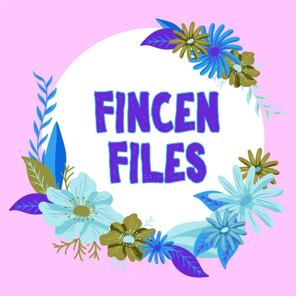 Концептуальний Підпис Fincen Files Бізнес Концепція Операції Фінансових Активах Зобов — стокове фото