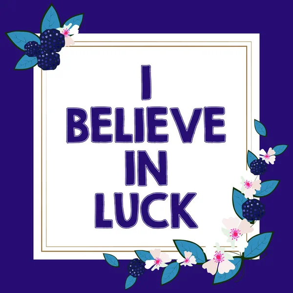 Text Mit Inspiration Believe Luck Konzeptfoto Zum Glauben Glücksbringer Aberglaube — Stockfoto