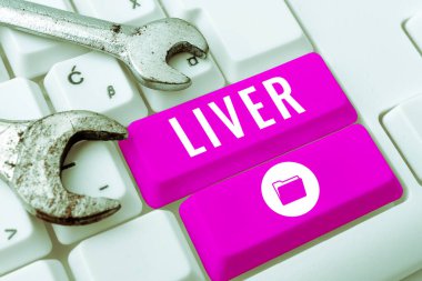 Metin Liver, Business Showcase yazıyor. Omurgalıların karnındaki büyük salgı bezi organı safra üretiyor.