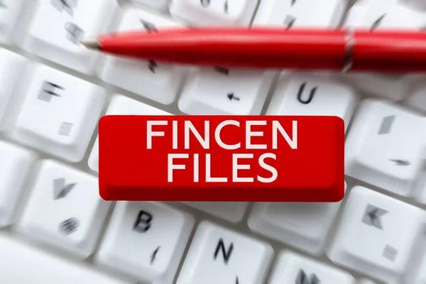 Text caption presenting Fincen Files, Word Written on Transactions in financial assets and liabilities