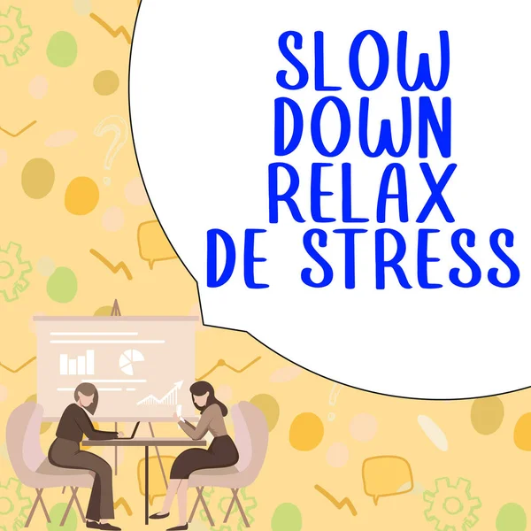 Texto Que Muestra Inspiración Slow Relax Stress Internet Concept Tener — Foto de Stock