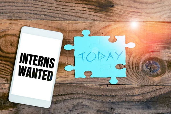 Sign Displaying Interns Wanted Internet Concept Looking Job Trainee Part — Stockfoto