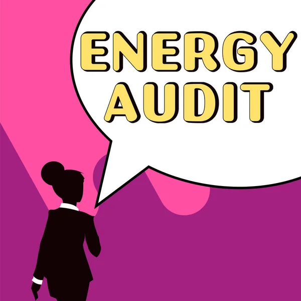 Text Bildtext Presenterar Energy Audit Konceptuell Fotobedömning Energibehov Och Effektivitet — Stockfoto