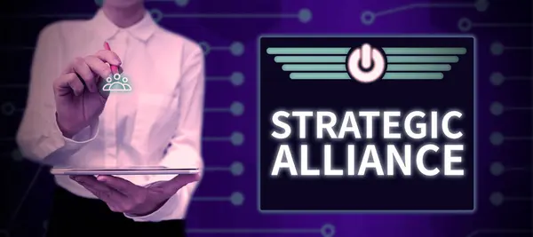 Концептуальне Відображення Стратегічний Альянс Бізнес Підхід Язок Між Державами Партіями — стокове фото