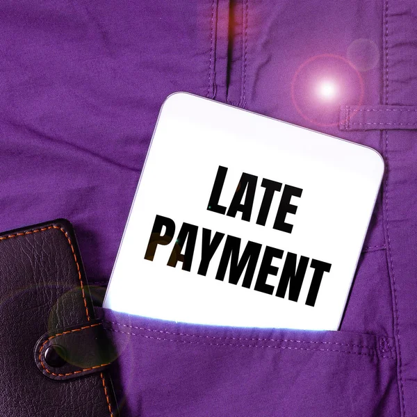 Text caption presenting Late Payment, Business overview payment made to the lender after the due date has passed