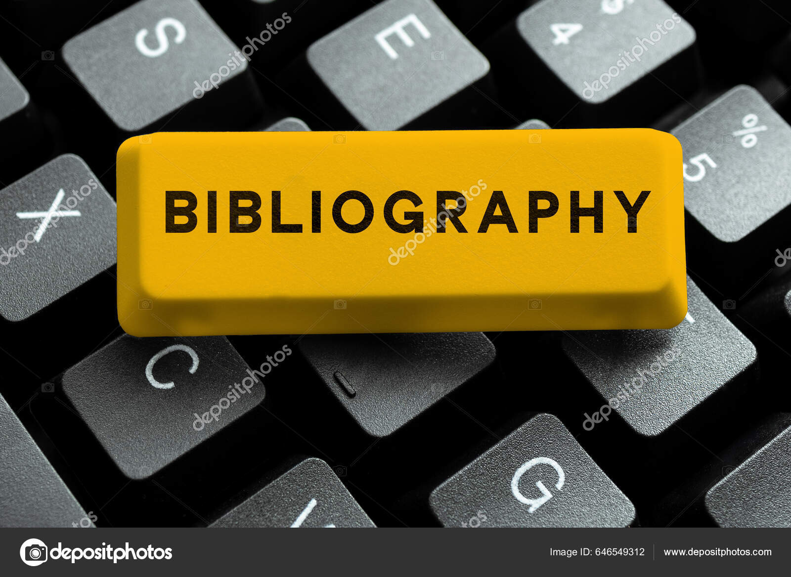 Picture bibliography outlet