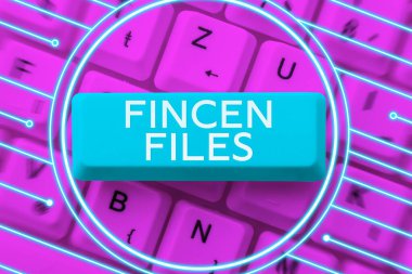 El yazısı imzası Fincen Dosyaları, Kavrama anlamı mali varlıklardaki işlemler ve yükümlülükler