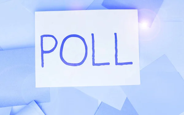 Text Sign Showing Poll Business Idea Record Number Votes Cast — Stockfoto