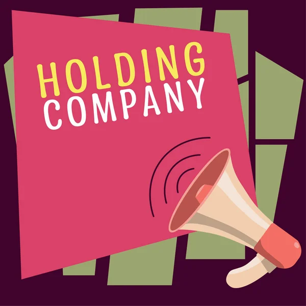 Text Sign Showing Holding Company Business Approach Stocks Property Other — Stock Photo, Image