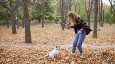 Jack Russell Terrier 'ını eğiten genç bir kadın yüzüğe atlamak istiyor..