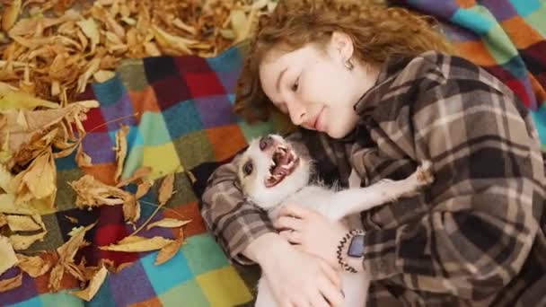 Lockig Kvinna Som Ligger Rutig Med Sin Jack Russell Terrier — Stockvideo