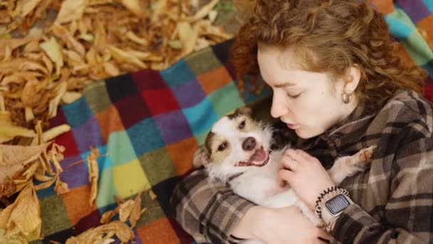 Curly Woman Laying Plaid Her Jack Russell Terrier Embraced Puppy — Stock Video