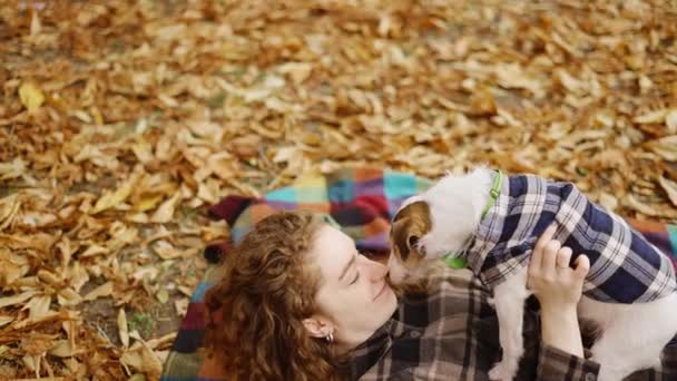 Žena Ležící Kostkované Svým Jack Russell Teriér Štěně Podzimním Parku — Stock video