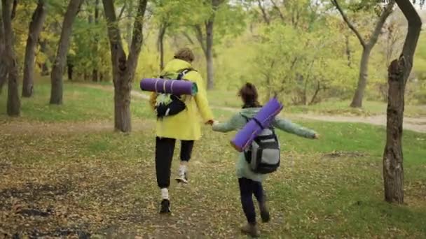 徒步旅行者用木棍走过森林的背景图 用垫子把背包围起来 — 图库视频影像