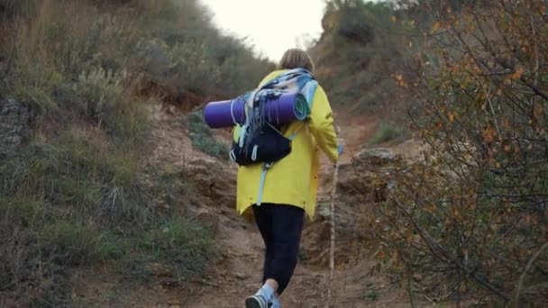 徒步旅行者爬山 带着木棍爬上山顶 户外旅行生活方式的概念 — 图库视频影像