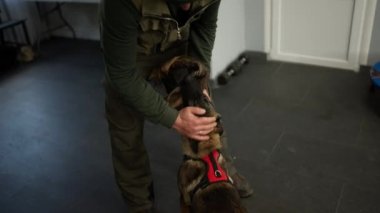 Male cynologist strokes and playing a German shepherd puppy.
