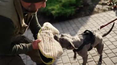 Cynologist dog bites and clings to the criminals hand during training, slow motion.