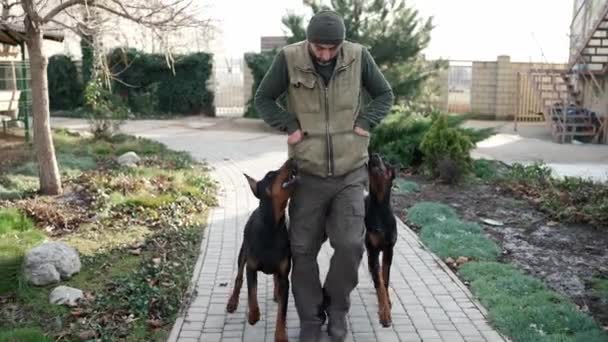 Man Casual Walk Two Dobermans Country House — Stockvideo
