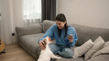 Portrait of a girl sitting on sofa with smartphone while her pet wants to play ball with her.