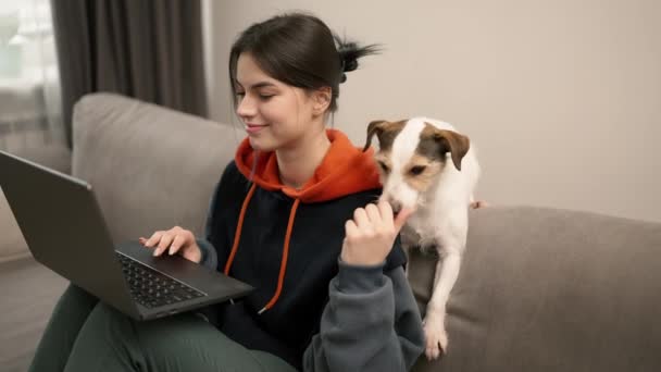 Молодая Женщина Сидящая Диване Работающая Ноутбуке Рядом Своей Собакой — стоковое видео