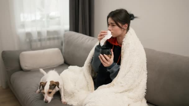 Sick Pretty Girl Suffering Flu Drinking Hot Tea Warming Blanket — Stock video