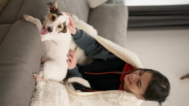 Kaunis Nainen Istuu Sohvalla Viltti Hänen Pieni Koira Jack Russell — kuvapankkivideo
