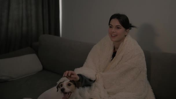 Взрослая Женщина Покрытая Одеялом Смотрит Кино Дома Собакой Джеком Расселом — стоковое видео