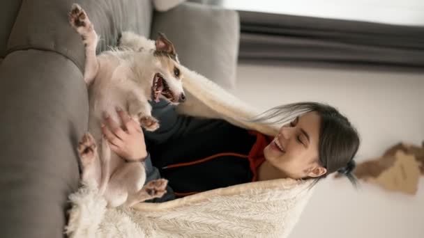 Hymyilevä Nainen Istuu Sohvalla Peitossa Pienen Koiransa Jack Russell Terrierin — kuvapankkivideo