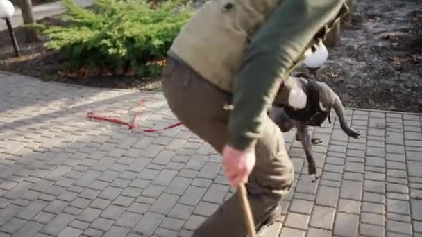 Cynologist Dog Bites Clings Criminals Hand Training — Stock Video