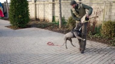 Cynologist dog running and bites to the criminals hand during training.