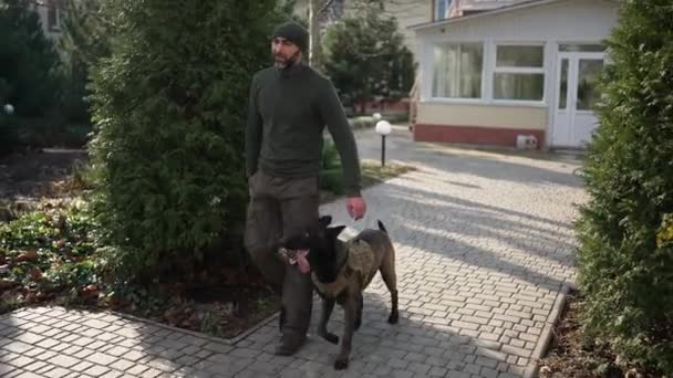 Hombre Pasea Por Patio Casa Con Perro Servicio Collar Protección — Vídeos de Stock