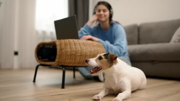 Kulaklıklı Genç Bir Kadın Dizüstü Bilgisayarla Yerde Oturuyor Köpeğine Tapıyor — Stok video