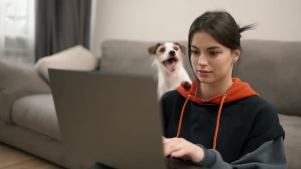 Jovem Mulher Sentada Chão Trabalhando Laptop Com Seu Cão Lado — Vídeo de Stock