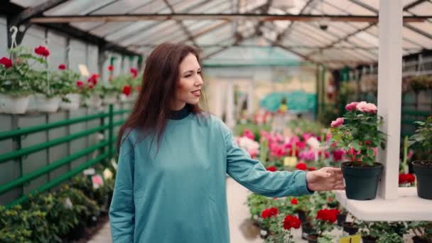 装飾植物のための若い女性の買い物 小さなバラとポットの匂い — ストック動画