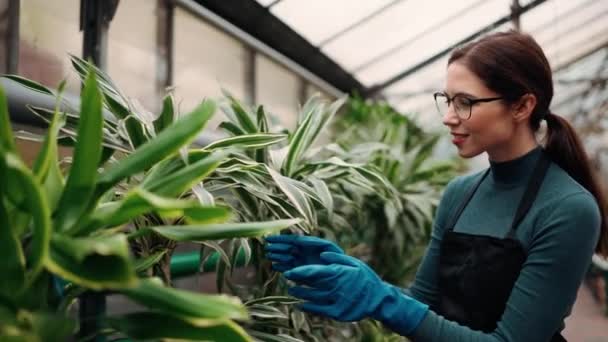 Floristin Gewächshaus Arbeiterin Inspiziert Grüne Blätter — Stockvideo