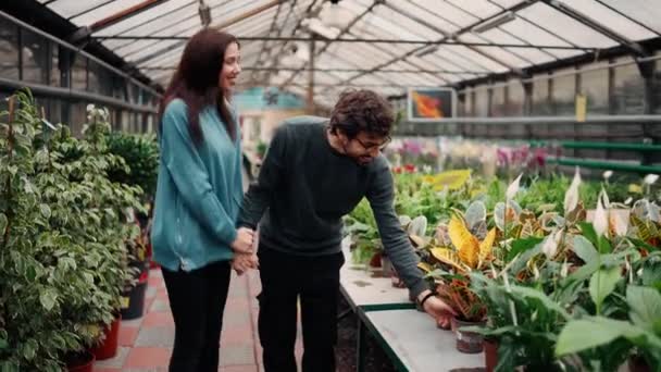 Ρομαντικό Νεαρό Ζευγάρι Που Βλέπει Λουλούδια Ένα Κατάστημα Κήπους — Αρχείο Βίντεο