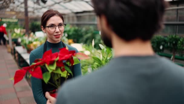 Omzunun Üstünden Elinde Kırmızı Çiçeklerle Saksıda Iki Bitki Tutan Seradaki — Stok video