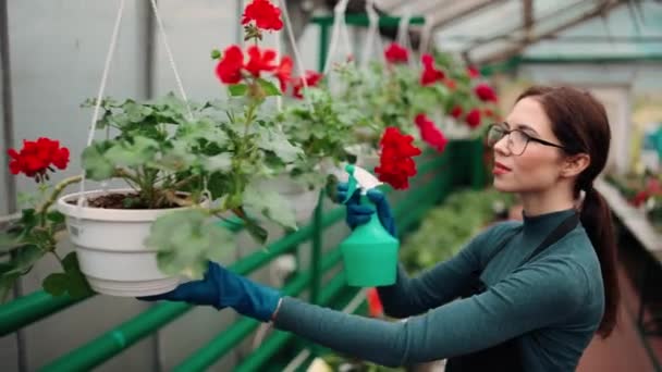 Κηπουρός Που Εργάζεται Βοτανικό Κήπο Θερμοκηπίου Ψεκασμού Φυτά — Αρχείο Βίντεο