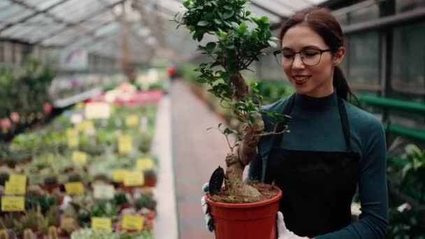 Junge Floristin Schürze Spaziert Zwischen Blumenreihen Gewächshaus Und Arrangiert Großen — Stockvideo