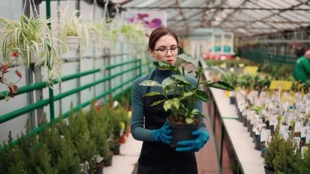 観葉植物と一緒に歩いて立つ庭師 — ストック動画