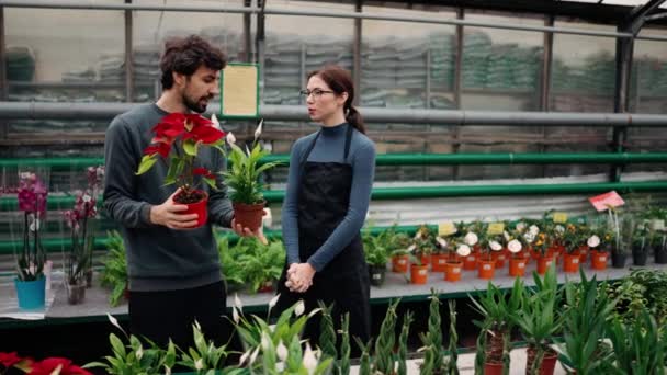 一个男人拿着两棵红花的盆栽和温室里的年轻女园丁说话 — 图库视频影像