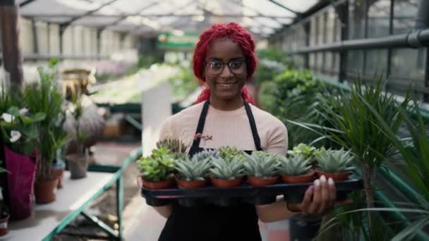 Portrait Travailleur Multiethnique Tenant Rangée Jeunes Succulents Regardant Vers Caméra — Video