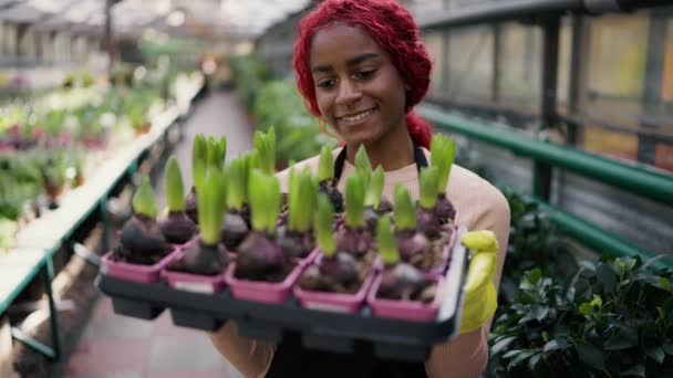 Härligt Multietnisk Arbetare Som Håller Raden Unga Plantor Blommor — Stockvideo
