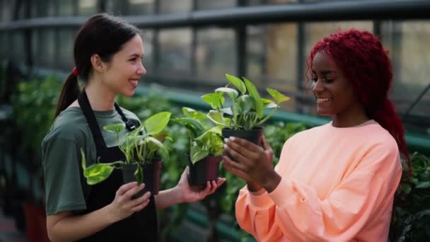 フラワーショップで選んだ植物について相談しながら 女性の顧客と話す女性花屋 — ストック動画