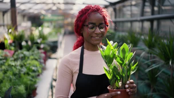 Portret Młodej Wielonarodowej Kobiety Patrzącej Kamerę Stojącej Szklarni Zieloną Rośliną — Wideo stockowe