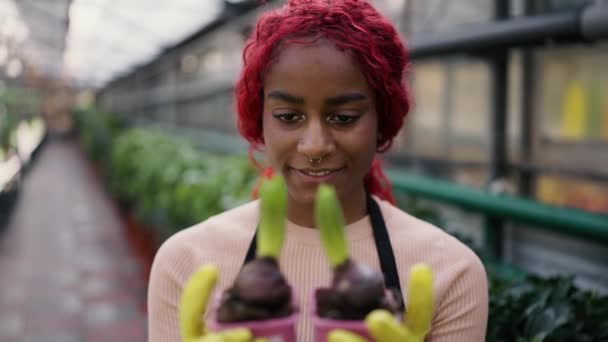 Multietnisk Kvinna Florist Håller Växter Växthus — Stockvideo