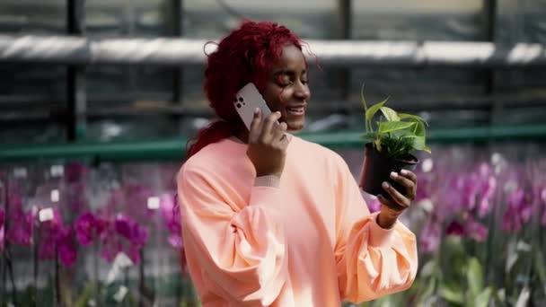 Glückliche Afroamerikanerin Wählt Topfblumen Für Ihren Garten Und Telefoniert Mit — Stockvideo